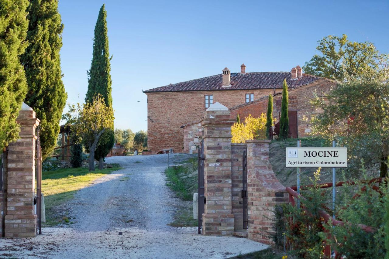 Agriturismo Mocine Asciano Exterior foto