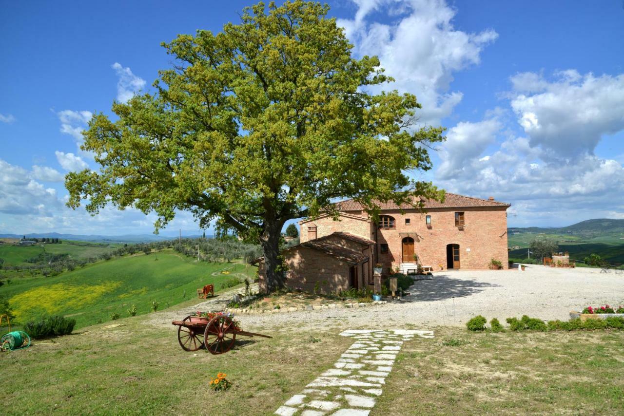 Agriturismo Mocine Asciano Exterior foto