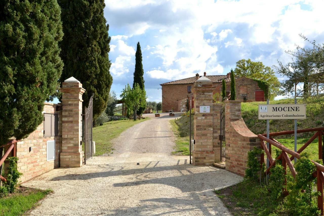 Agriturismo Mocine Asciano Exterior foto