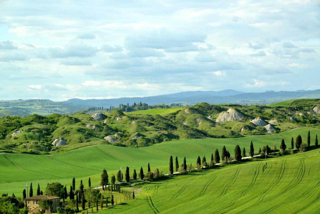 Agriturismo Mocine Asciano Exterior foto
