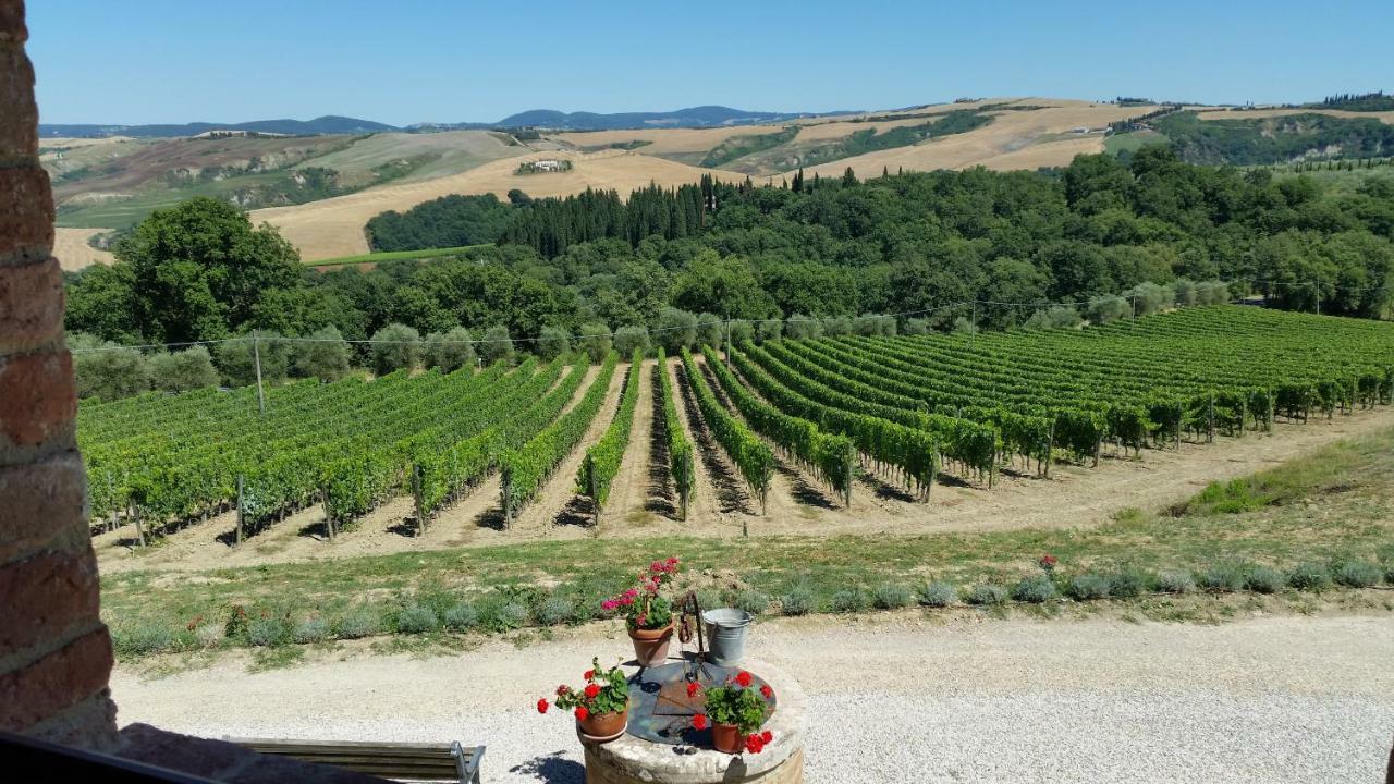 Agriturismo Mocine Asciano Exterior foto